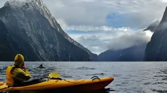 السفر إلى نيوزيلندا