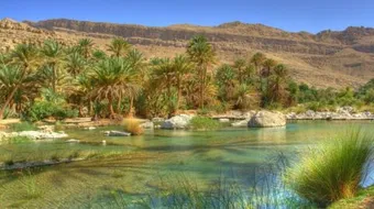 السفر إلى صلالة