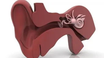 علاج ثقب طبلة الأذن