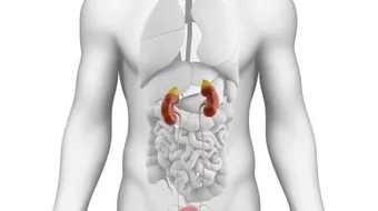 علاج دوالي الخصيتين