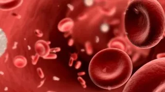 علاج نقص كريات الدم البيضاء