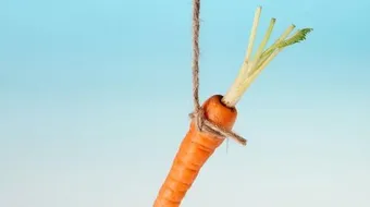 أنواع الحوافز