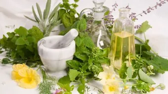 أنواع الأعشاب الطبية