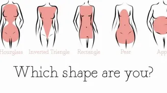 أنواع الأجسام