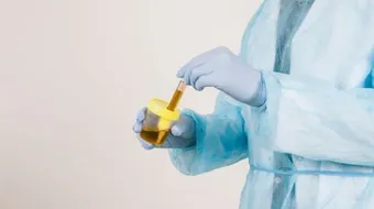 أنواع بكتيريا المسالك البولية