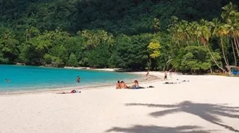 جزيرة فانواتو