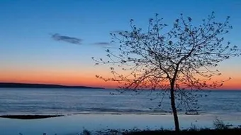 ابيات عن الشوق