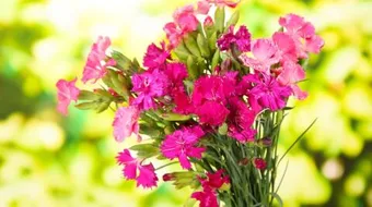 شعر جميل جدا