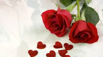 عبارات جميلة جداً