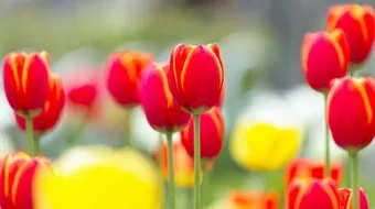 حكمة رائعة جدا