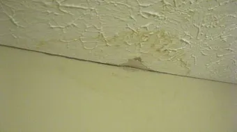 طريقة كشف تسريب المياه