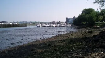 حلول لتلوث الماء