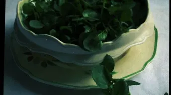 فوائد الجرجير للرجيم