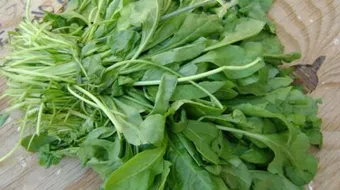 طريقة الجرجير للشعر