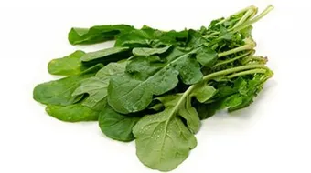 فوائد زيت الجرجير لتكثيف الشعر