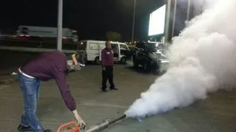 طرق مكافحة الوزغ