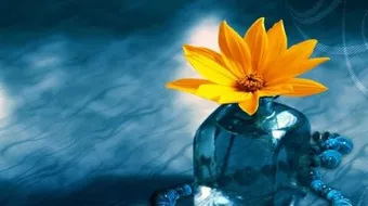 طرق الهداية