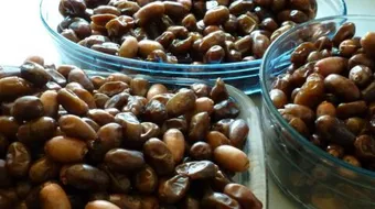 فوائد الرطب