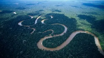 ما أعرض نهر في العالم