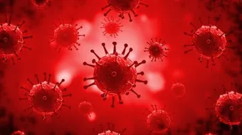 ما هي بكتيريا الدم