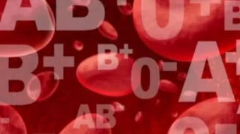 ما هي الأمراض التي تنتقل عن طريق الدم