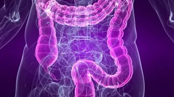 ما هي أمراض القولون