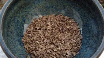 ما هي بذور الشمر