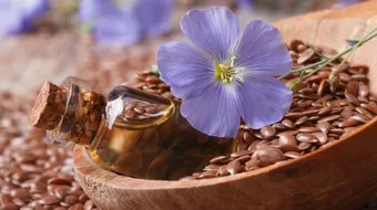 ما هي بذور الكتان