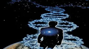 ما هي الأمراض الوراثية عند الإنسان