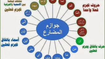 ما هي أدوات الجزم