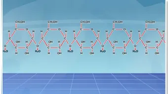 ما هي المركبات العضوية