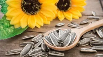 ما هي فوائد ومضار بذور دوار الشمس