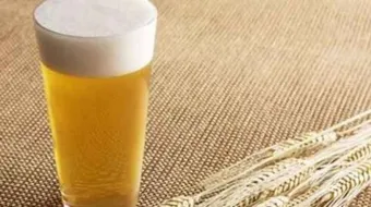 ما فوائد الشعير