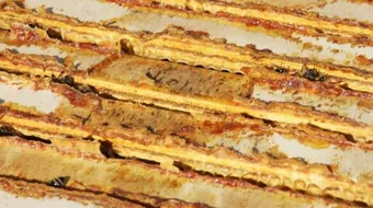 ما هي فوائد عكبر النحل