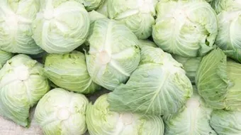 ما فوائد الملفوف