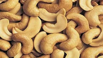 ما فوائد الكاجو