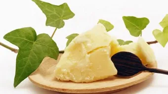 ما فوائد زبدة الكاكاو