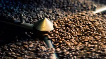 ماهي فوائد قشر القهوة