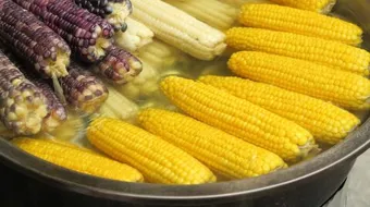 ما هي فوائد الذرة للجسم