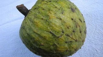 ما فوائد فاكهة القشطة