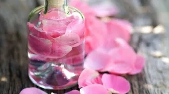 ما هي فوائد شرب ماء الورد على الريق