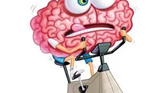 ما فوائد الرياضة لجسم الإنسان