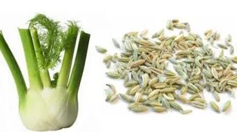 ما هي فوائد الشمر للتخسيس