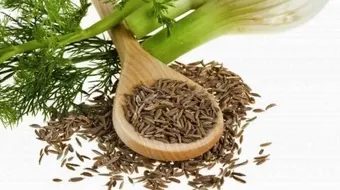 ما فوائد الشمر للجسم