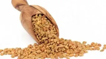 ما فوائد الحلبة مع الحليب