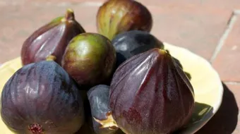 ما فوائد التين