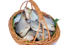 ما فوائد السمك