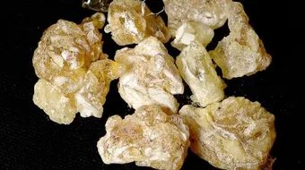 ما فوائد اللبان