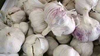 ما هي فوائد الثوم