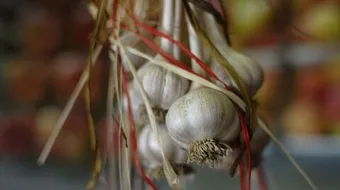 ما فوائد الثوم